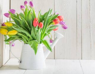 When Do You Start Decorating For Spring?