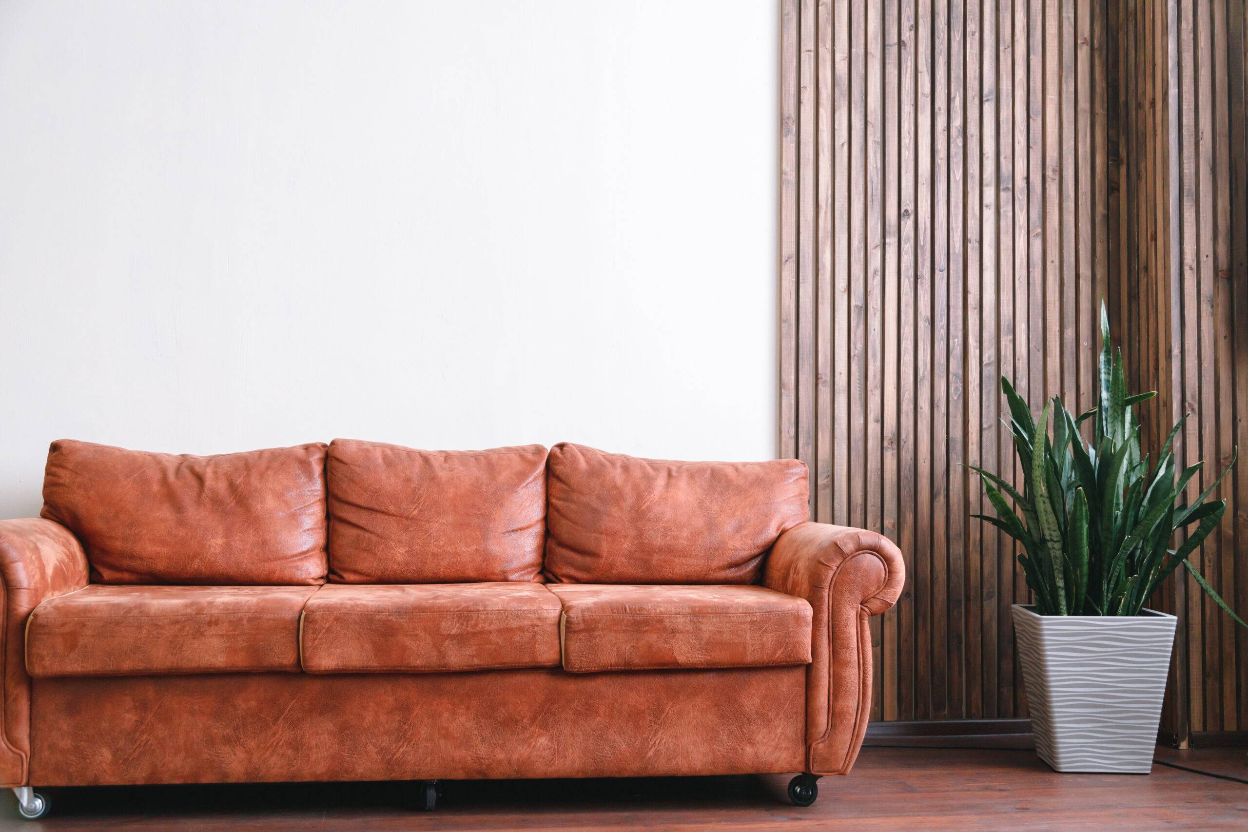 Orange leather sofa with with white wall in background with home plant.