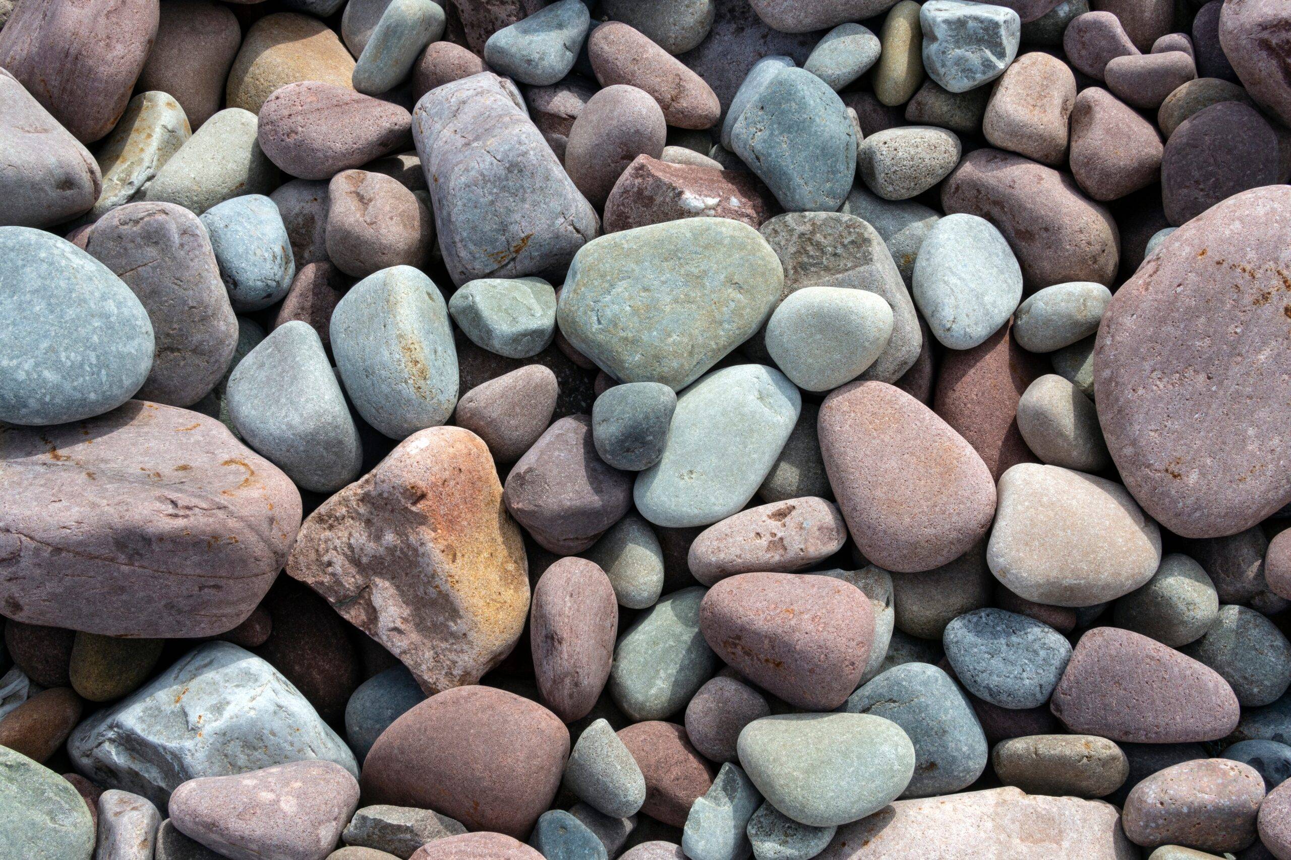 Pebbles on a shingle beach in Somerset, England.A beach composed chiefly of surface pebbles is known as a shingle beach. This type of beach has armoring characteristics with respect to wave erosion, as well as ecological niches that provide habitat for animals and plants.
