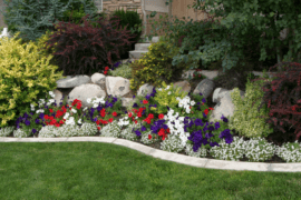 Low Maintenance Modern Front Yard Landscaping Ideas for Ultimate Curb Appeal
